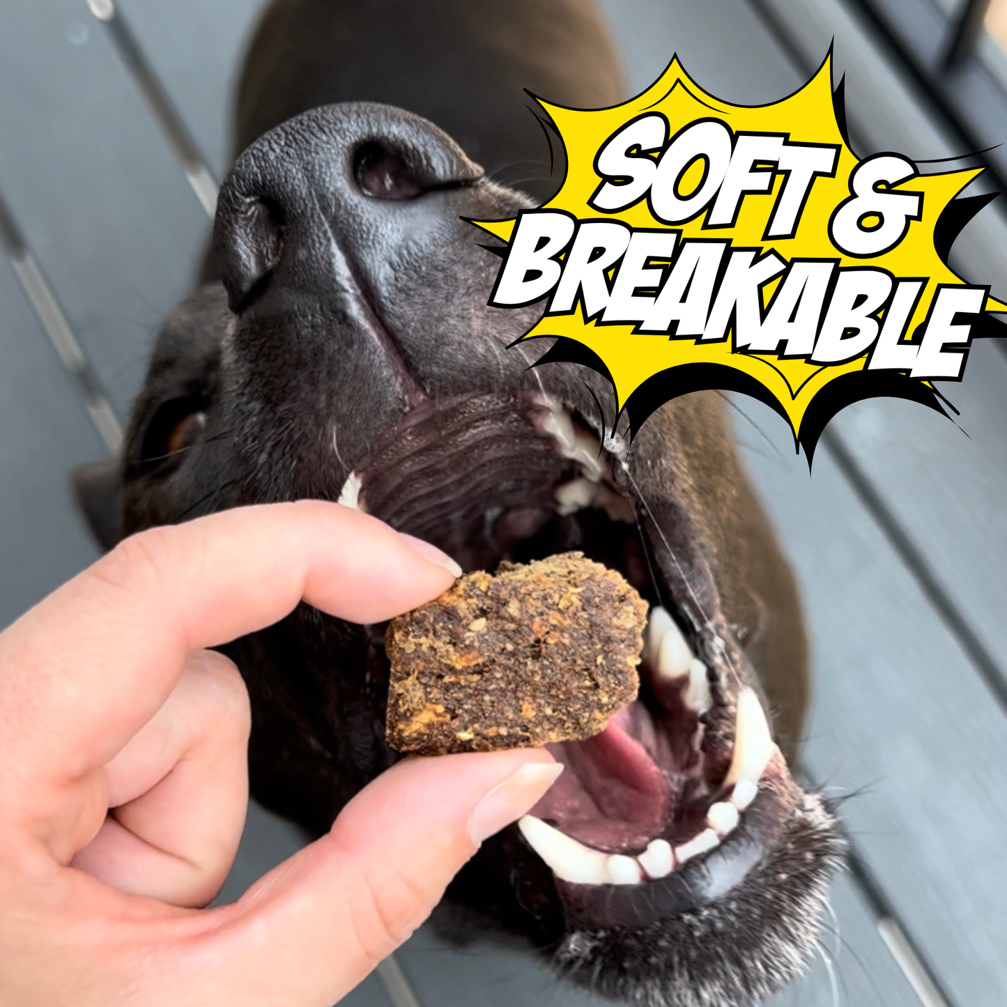 Wild-Caught Fish Pumpkin Apple Soft Jerky Dog Treats